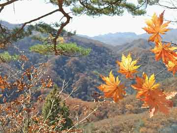 五菱s3胎压传感器怎么匹配,五菱s3胎压传感器怎么匹配的