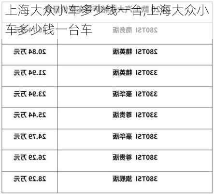 上海大众小车多少钱一台,上海大众小车多少钱一台车