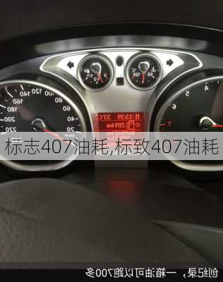 标志407油耗,标致407油耗