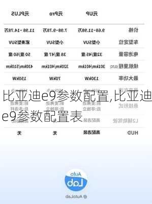 比亚迪e9参数配置,比亚迪e9参数配置表