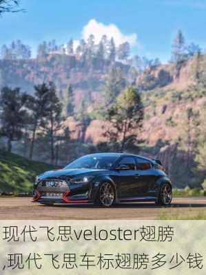 现代飞思veloster翅膀,现代飞思车标翅膀多少钱