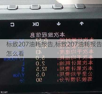 标致207油耗报告,标致207油耗报告怎么看