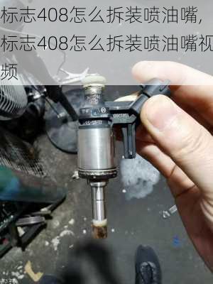 标志408怎么拆装喷油嘴,标志408怎么拆装喷油嘴视频