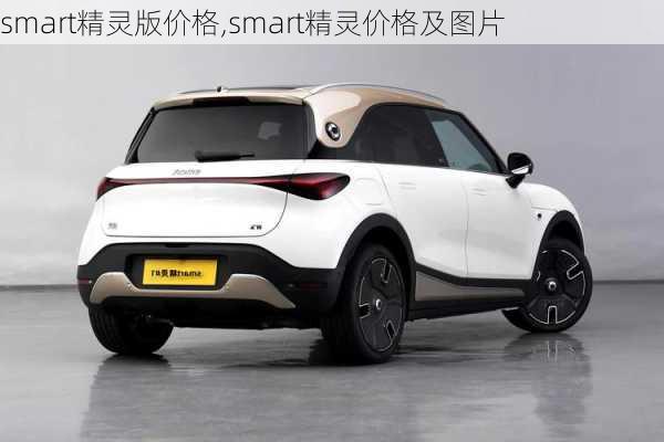 smart精灵版价格,smart精灵价格及图片