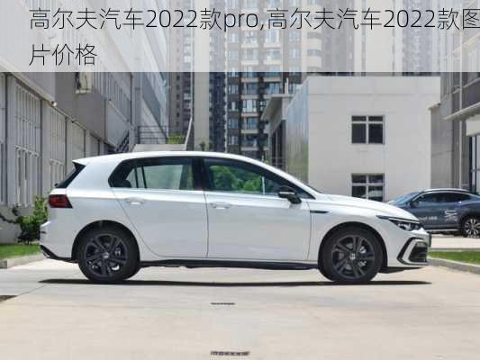 高尔夫汽车2022款pro,高尔夫汽车2022款图片价格