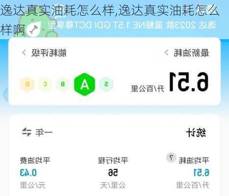 逸达真实油耗怎么样,逸达真实油耗怎么样啊