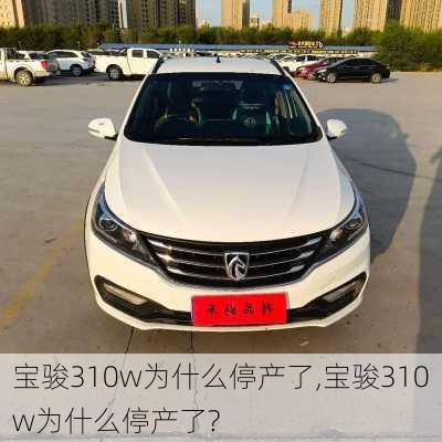 宝骏310w为什么停产了,宝骏310w为什么停产了?