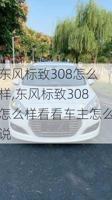 东风标致308怎么样,东风标致308怎么样看看车主怎么说