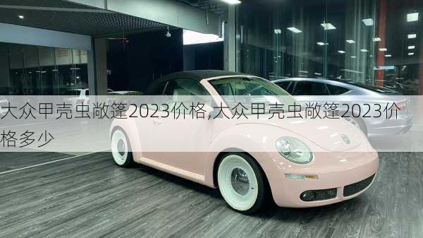 大众甲壳虫敞篷2023价格,大众甲壳虫敞篷2023价格多少