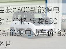 宝骏e300新能源电动车价格,宝骏e300新能源电动车价格及图片