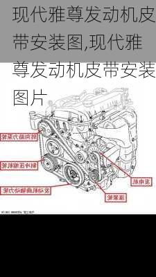 现代雅尊发动机皮带安装图,现代雅尊发动机皮带安装图片