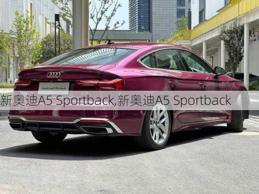 新奥迪A5 Sportback,新奥迪A5 Sportback