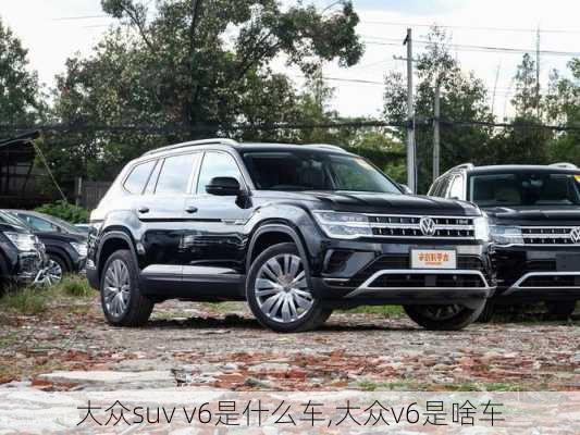 大众suv v6是什么车,大众v6是啥车