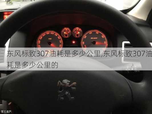 东风标致307油耗是多少公里,东风标致307油耗是多少公里的