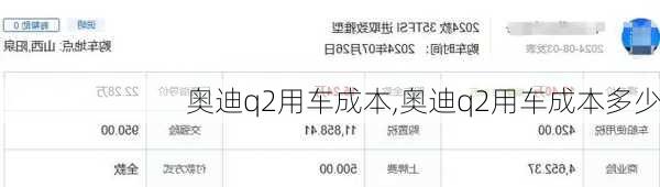 奥迪q2用车成本,奥迪q2用车成本多少