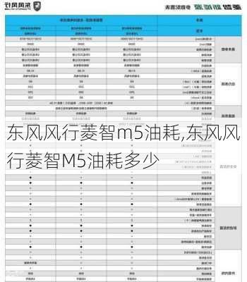 东风风行菱智m5油耗,东风风行菱智M5油耗多少