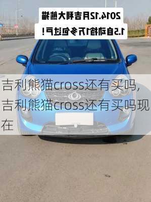 吉利熊猫cross还有买吗,吉利熊猫cross还有买吗现在