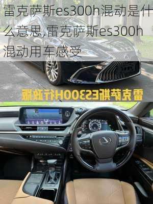 雷克萨斯es300h混动是什么意思,雷克萨斯es300h混动用车感受