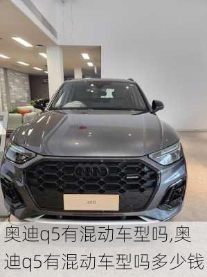 奥迪q5有混动车型吗,奥迪q5有混动车型吗多少钱