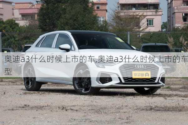 奥迪a3什么时候上市的车,奥迪a3什么时候上市的车型