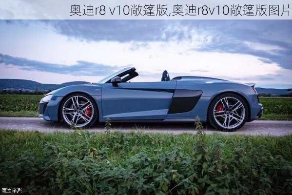 奥迪r8 v10敞篷版,奥迪r8v10敞篷版图片