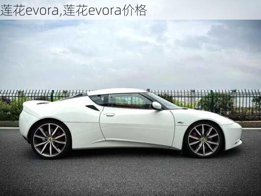 莲花evora,莲花evora价格