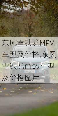 东风雪铁龙MPV车型及价格,东风雪铁龙mpv车型及价格图片