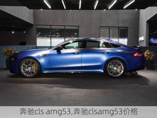 奔驰cls amg53,奔驰clsamg53价格